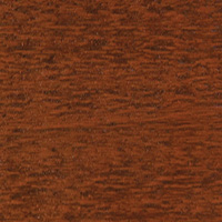 Wood Grain Door - Mahogany